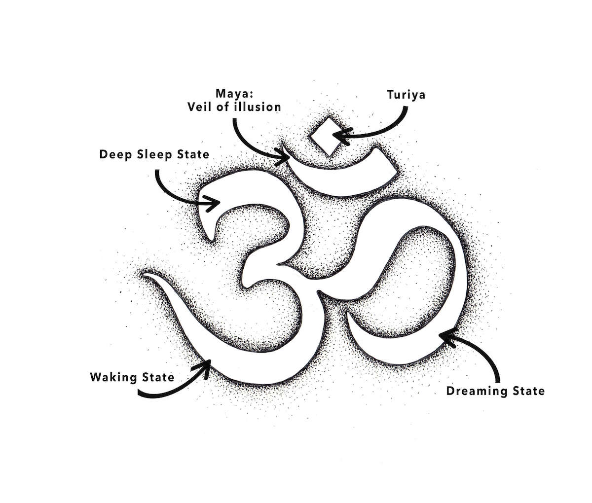 4 States of Consciousness